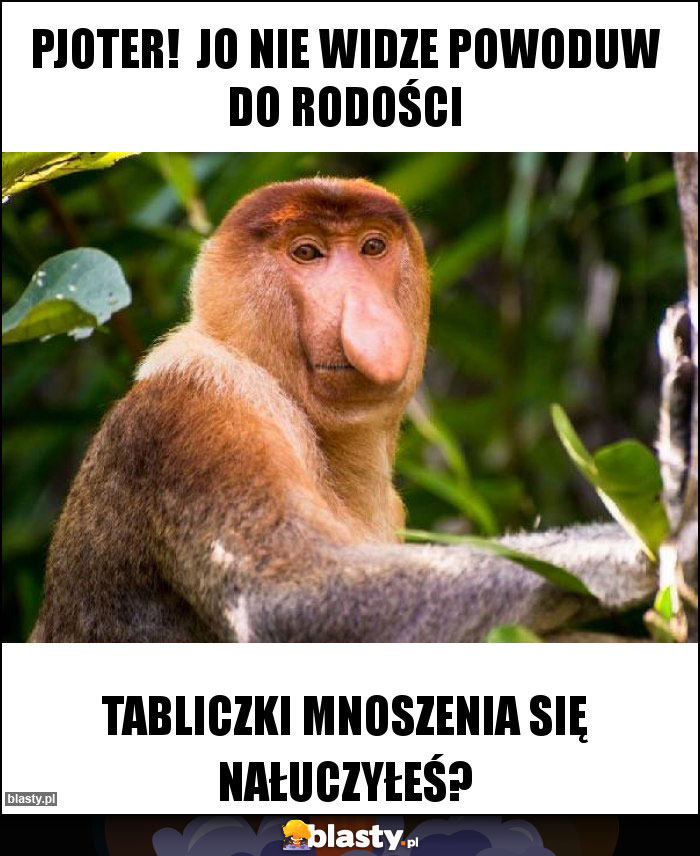 PJOTER!  JO NIE WIDZE POWODUW DO RODOŚCI