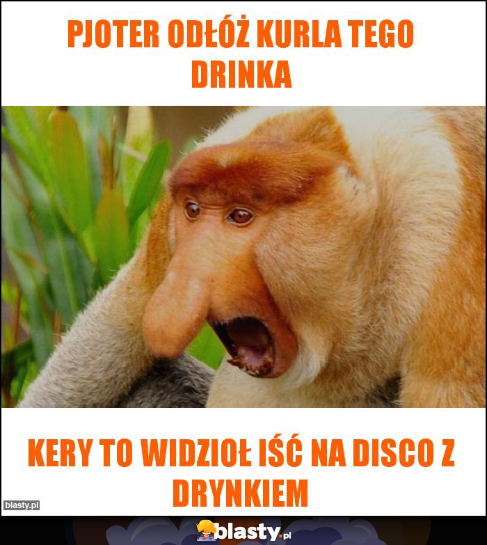 Pjoter odłóż kurla tego drinka