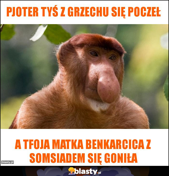 Pjoter tyś z grzechu się poczeł
