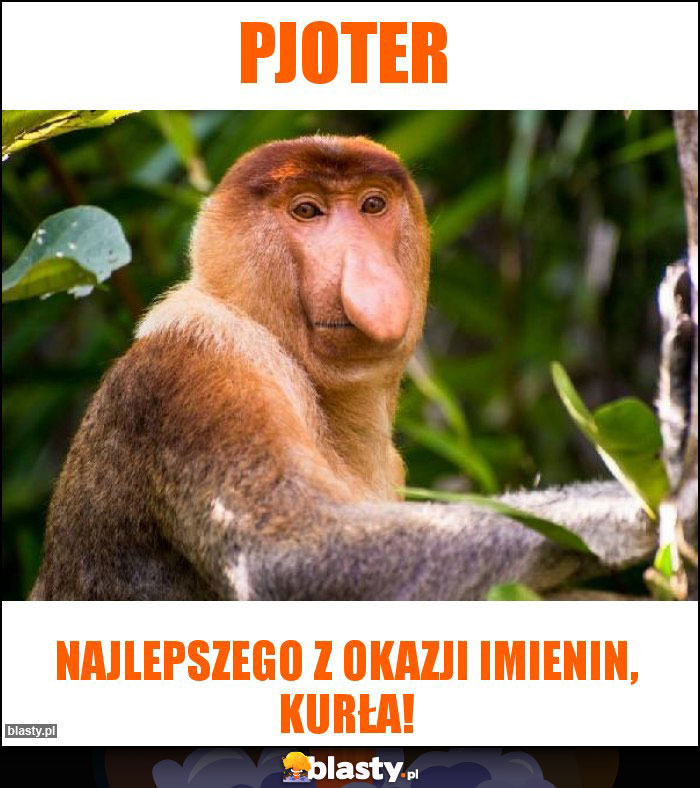 Pjoter