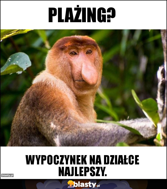 Plażing?