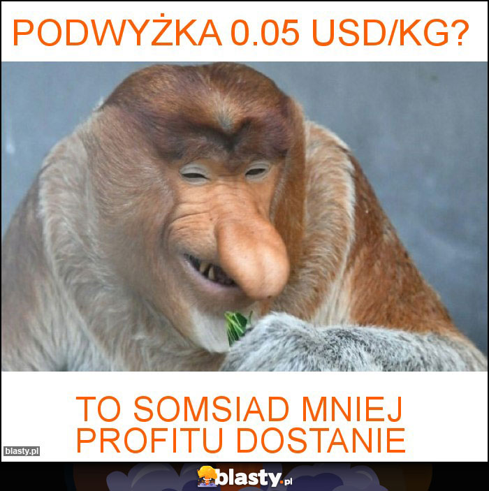 PODWYŻKA 0.05 USD/KG?