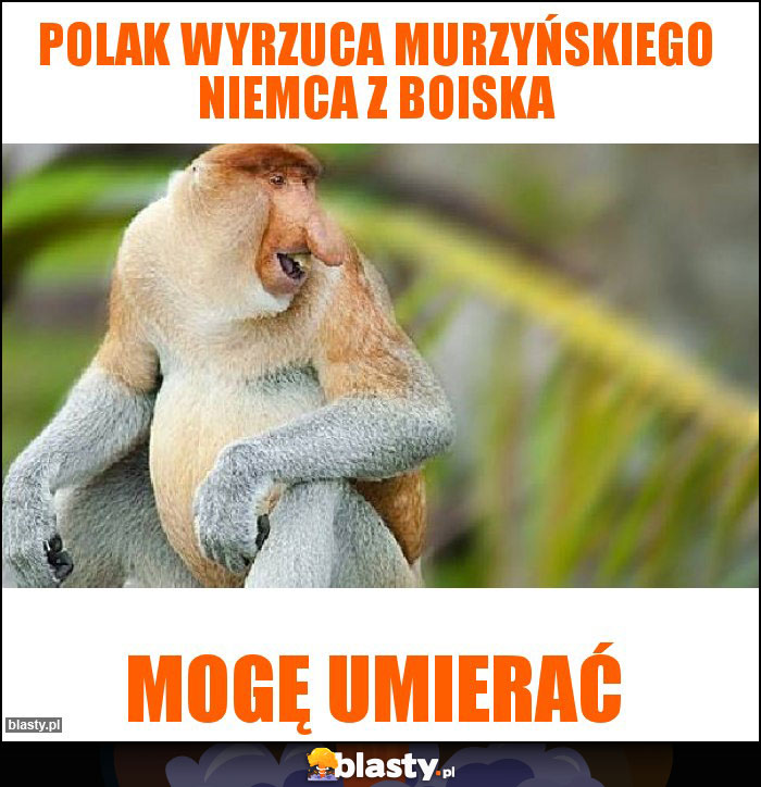 Polak wyrzuca murzyńskiego Niemca z boiska