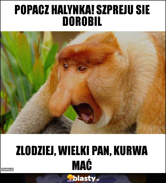 Popacz Halynka! szpreju sie dorobil