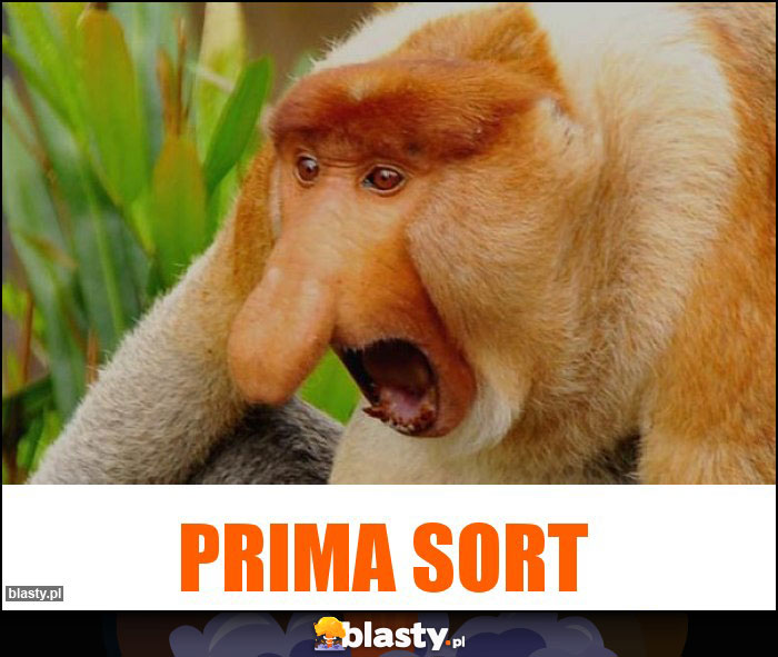 PRIMA SORT
