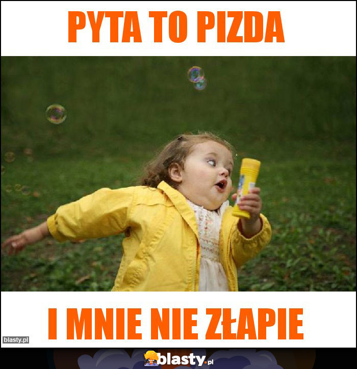 Pyta to pizda