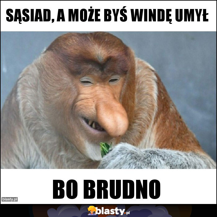 Sąsiad, a może byś windę umył