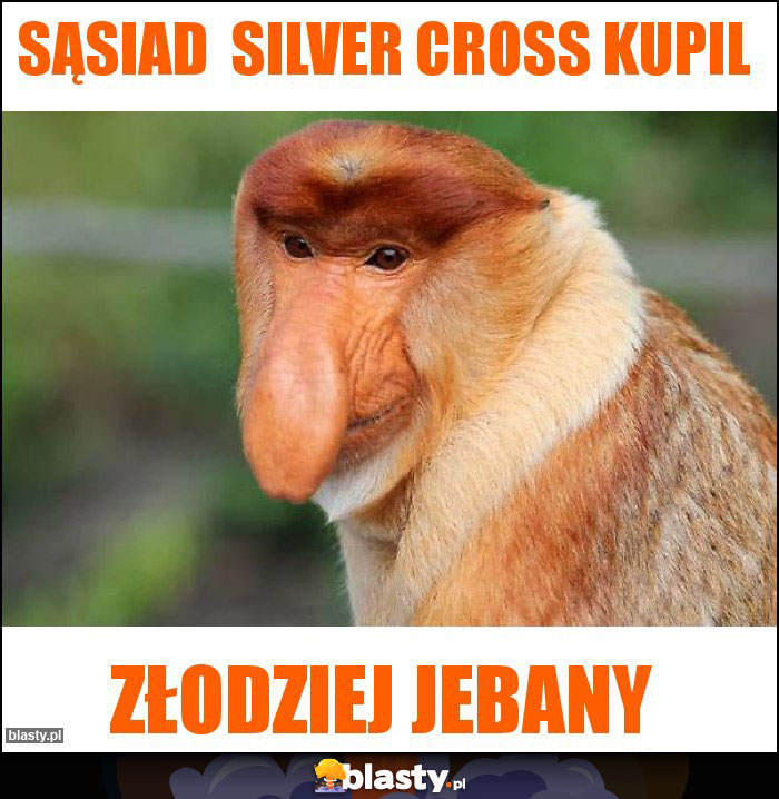 Sąsiad  Silver cross kupil