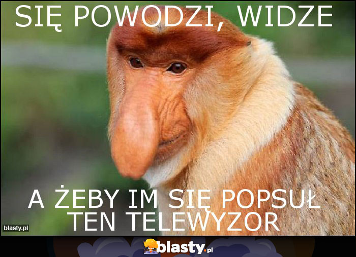 Się powodzi, widze