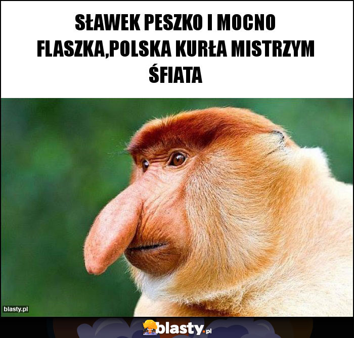 Sławek Peszko i mocno flaszka,POLSKA KURŁA MISTRZYM Śfiata