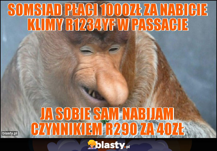 Somsiad płaci 1000zł za nabicie klimy R1234YF w Passacie