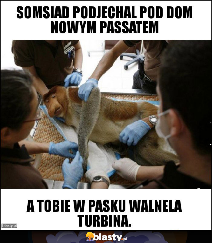 Somsiad podjechal pod dom nowym passatem