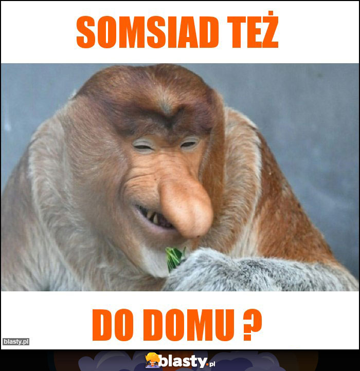 Somsiad też