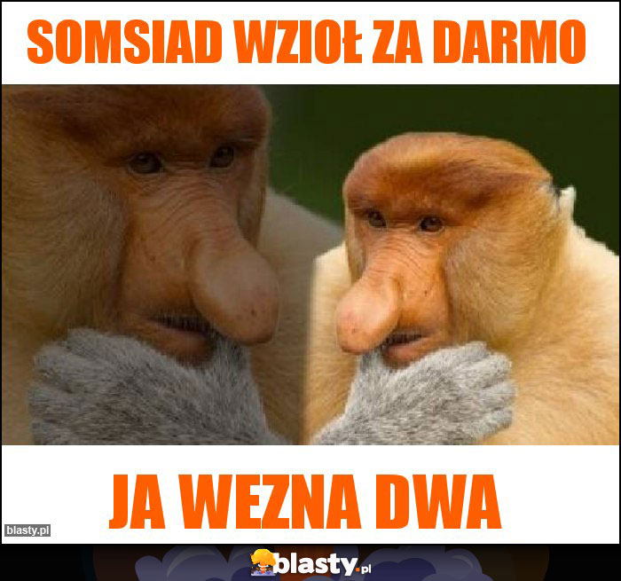 Somsiad wzioł za darmo