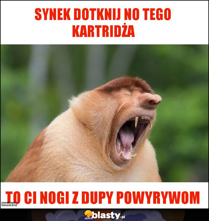 Synek dotknij no tego kartridża