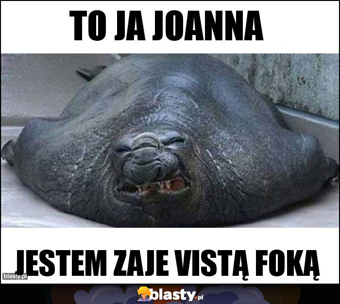 To ja joanna