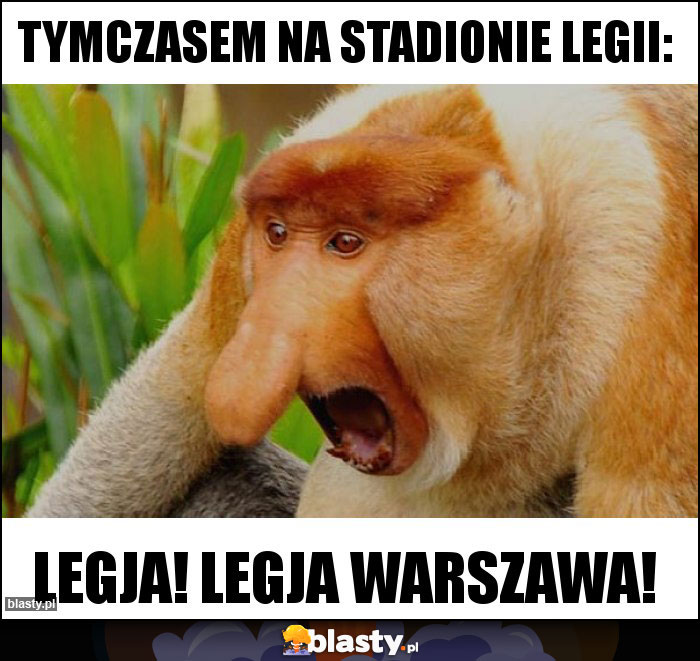 tymczasem na stadionie legii: