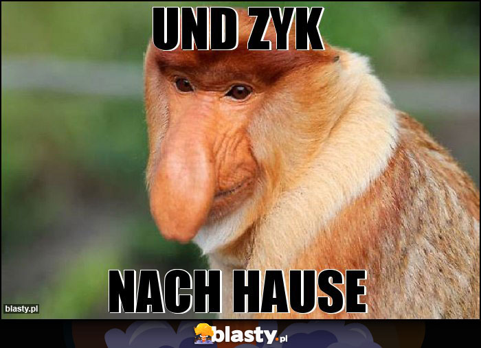 Und zyk