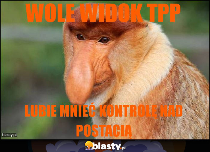WOLE WIDOK TPP