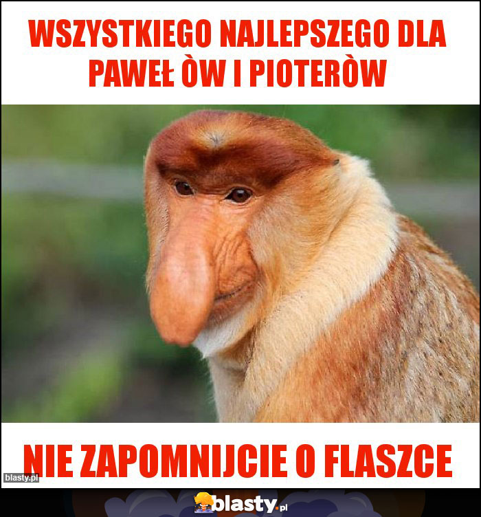 Wszystkiego najlepszego dla Paweł òw i pioteròw