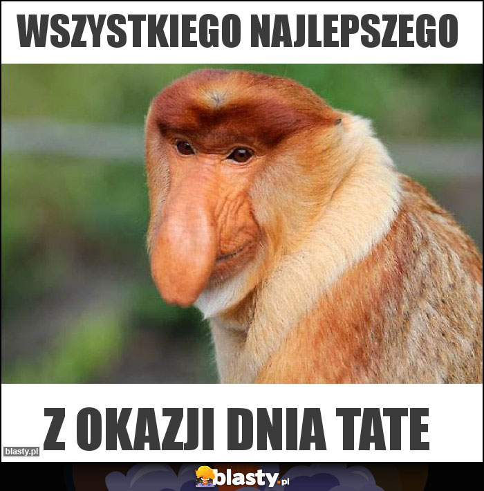 WSZYSTKIEGO NAJLEPSZEGO