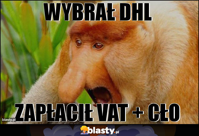 WYBRAŁ DHL