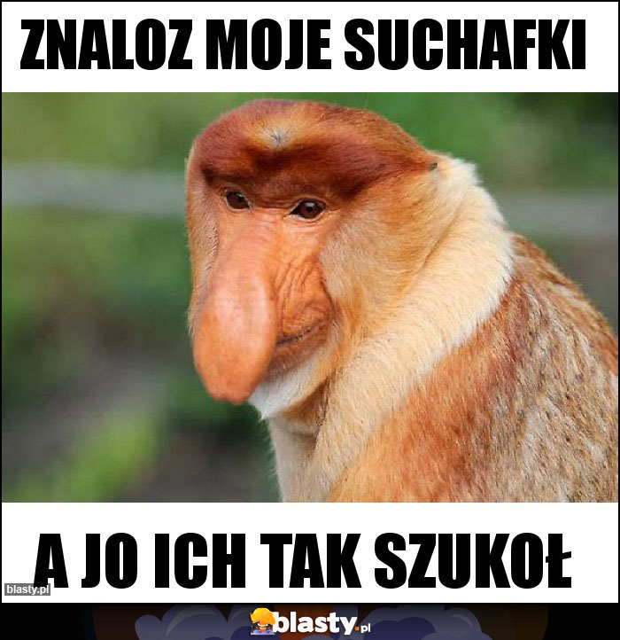 Znaloz moje suchafki