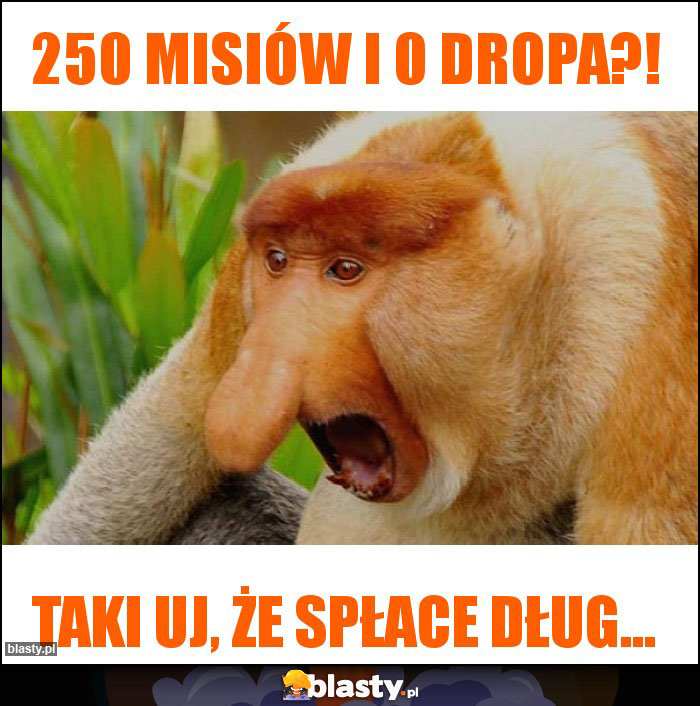 250 Misiów i 0 dropa?!