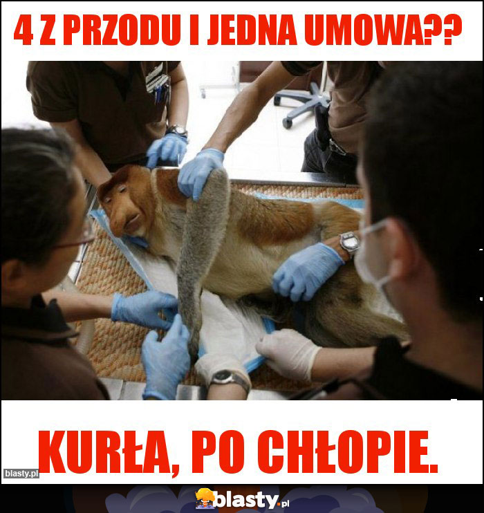 4 z przodu i jedna umowa??