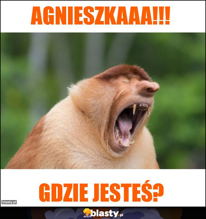Agnieszkaaa!!!