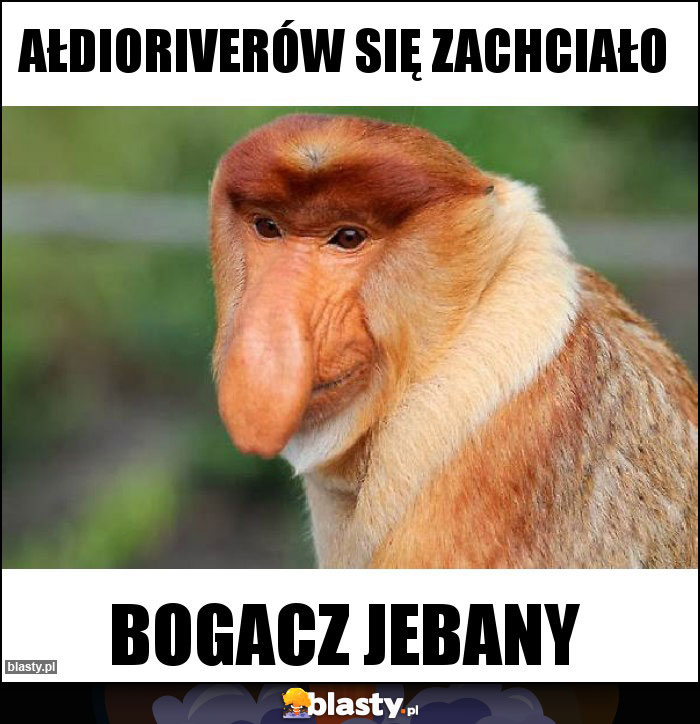 Ałdioriverów się zachciało