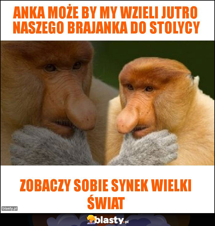 Anka może by my wzieli jutro naszego brajanka do stolycy