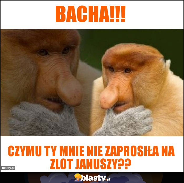 Bacha!!!