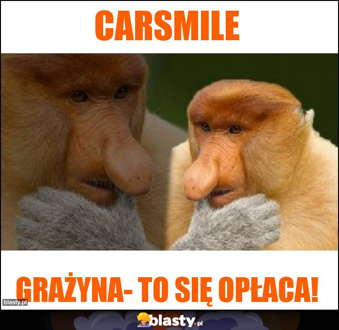 Carsmile