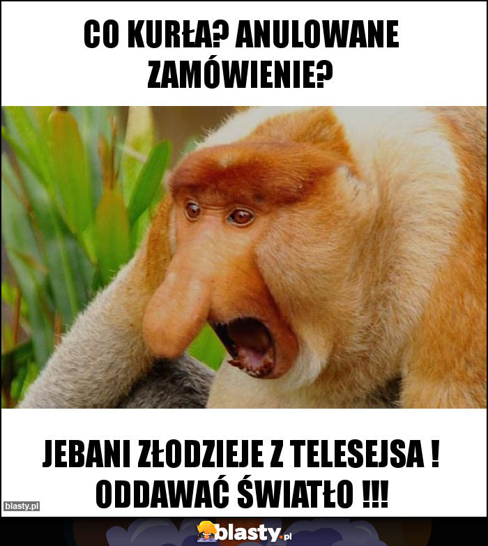 Co kurła? Anulowane zamówienie?