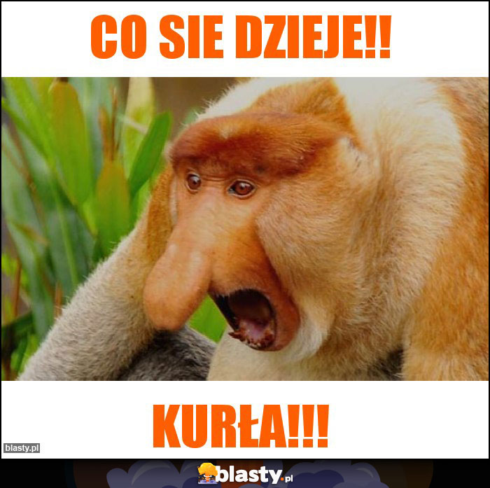 Co sie dzieje!!