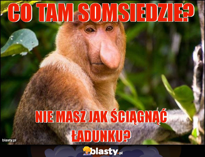 Co tam somsiedzie?