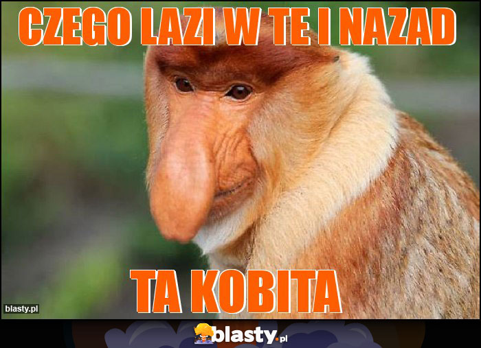czego lazi w te i nazad
