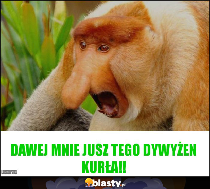 Dawej mnie jusz tego dywyżen kurła!!