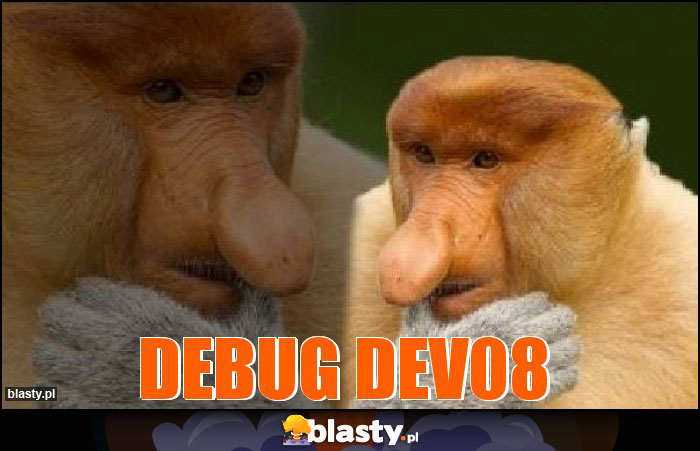 Debug dev08