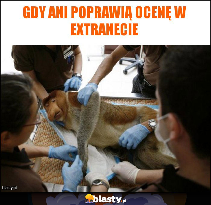 Gdy Ani poprawią ocenę w extranecie