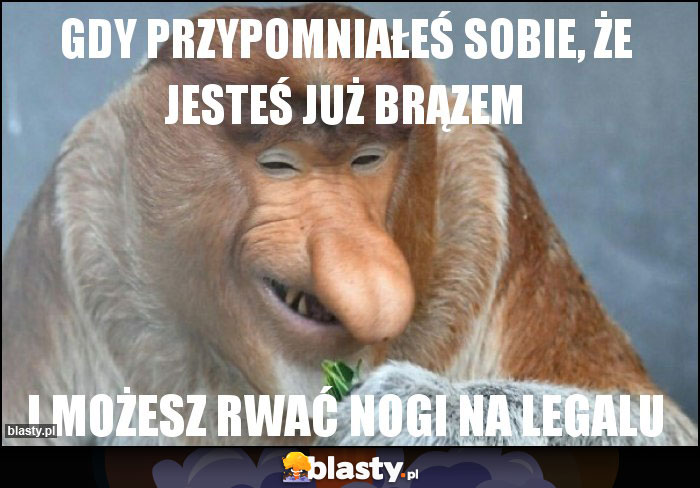 Gdy przypomniałeś sobie, że jesteś już brązem