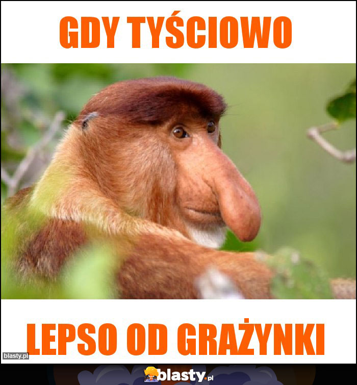 gdy tyściowo