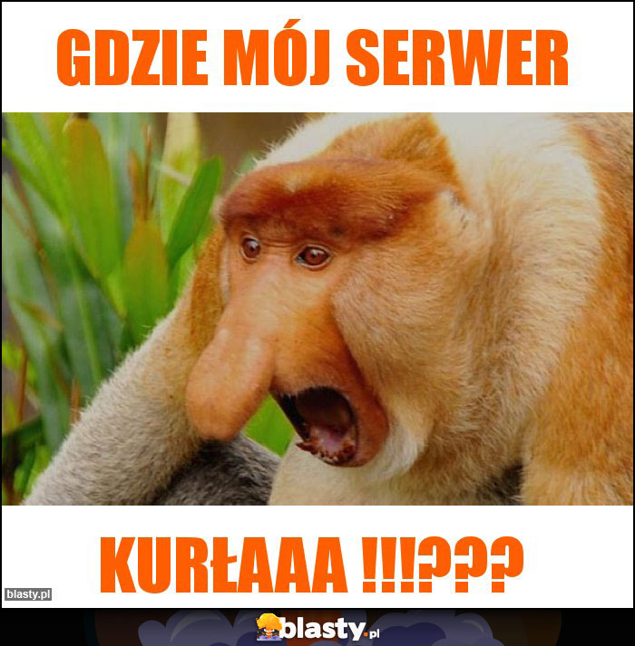 gdzie mój serwer