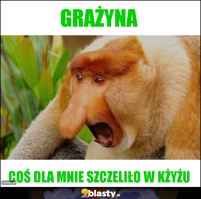 Grażyna