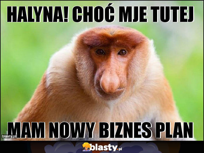 halyna! choć mje tutej