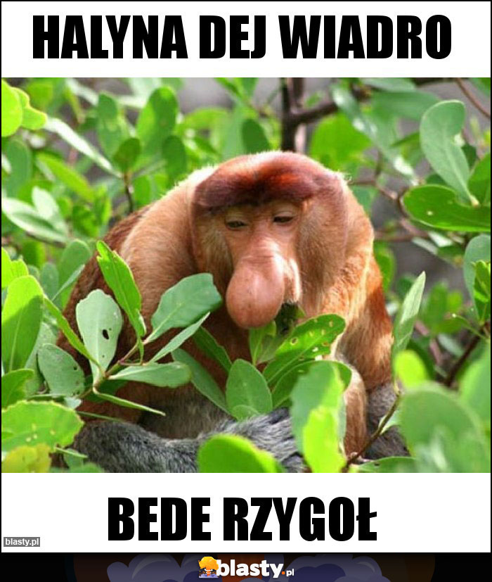 Halyna dej wiadro