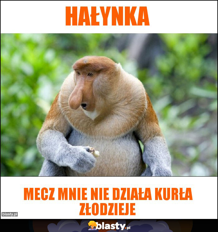 Hałynka