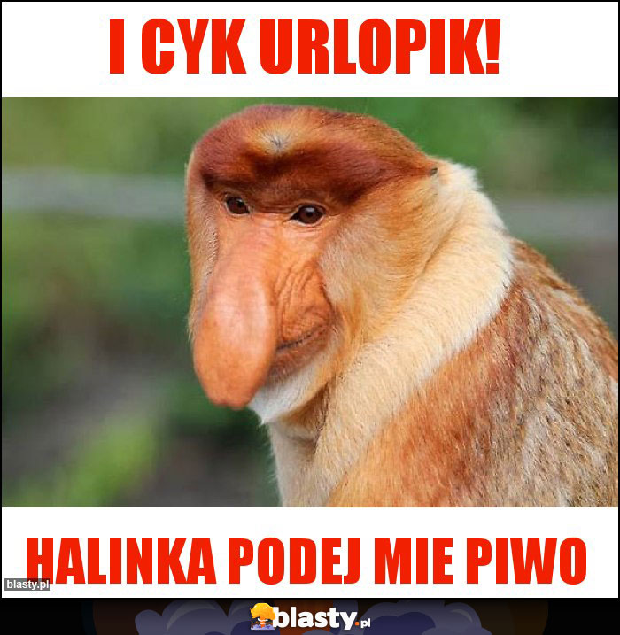 I cyk urlopik!
