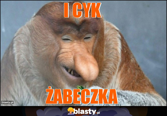 I cyk